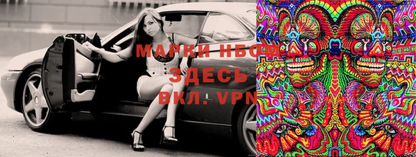 шишки Заводоуковск