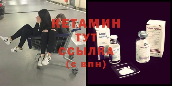 шишки Заводоуковск