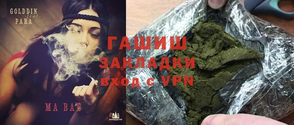 шишки Заводоуковск