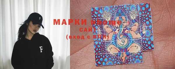 шишки Заводоуковск