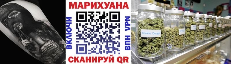 Купить где  Каменногорск  Бошки марихуана сатива 